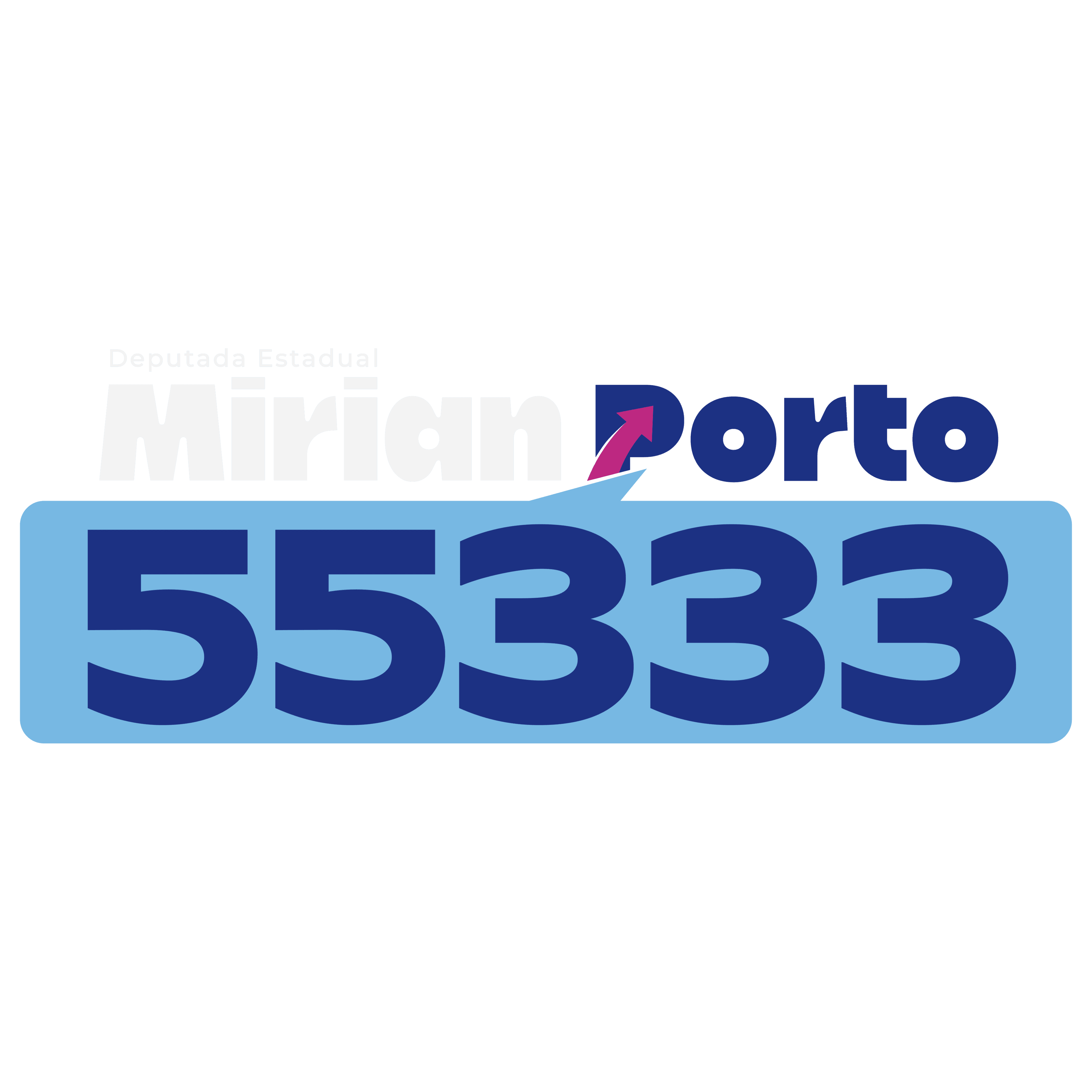 Deputada Estadual Mirian Porto 55333
